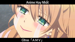 Citrus「ＡＭＶ」Hay Nhất