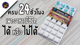 ครบ24ชั่วโมงผลการเพาะอาหารมีชีวิตไว้อนุบาลลูกปลาจะได้หรือไม่สไตล์korattv