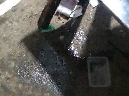My sister peed her pants!