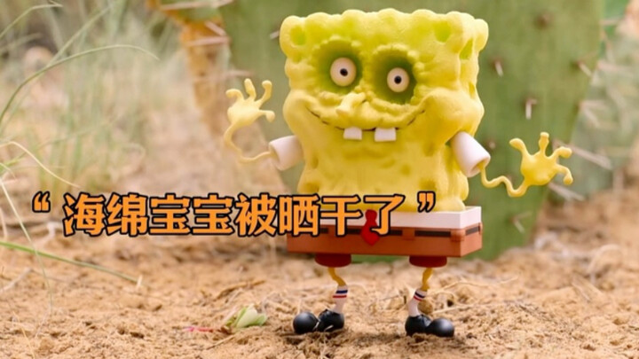 “被晒成干的海绵宝宝#海绵宝宝：拯救比奇堡#动漫推荐