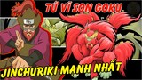 Sức Mạnh Của Tứ Vĩ Hầu Tôn Son Goku Và Jinchuriki Mạnh Nhất Roshi| Pikapi Channel