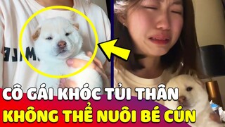 Cô gái ôm bé cún 'KHÓC TỦI' vì bố mẹ không cho nuôi chó khiến ai xem được cũng thương 😥 | Gâu Đần