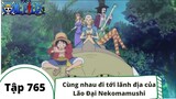 One Piece Tập 765: Cùng nhau đi tới lãnh địa của Lão Đại Nekomamushi (Tóm Tắt)