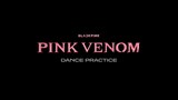 Pink Venom Dance Practice — Blackpink 䳽