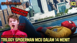 SPIDER-MAN PALING FRESH & FUN !! SPIDER-MAN CALL BACK : SPIDER-MAN MCU (2017-2021)