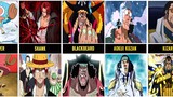 ONE PIECE CHARACTER BEFORE AND AFTER TIME SKIP
