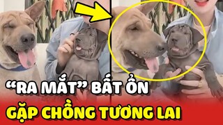 Màn ra mắt CHỒNG TƯƠNG LAI đầy mệt mỏi cua gia đình NHÀ LU 😂 | Yêu Lu