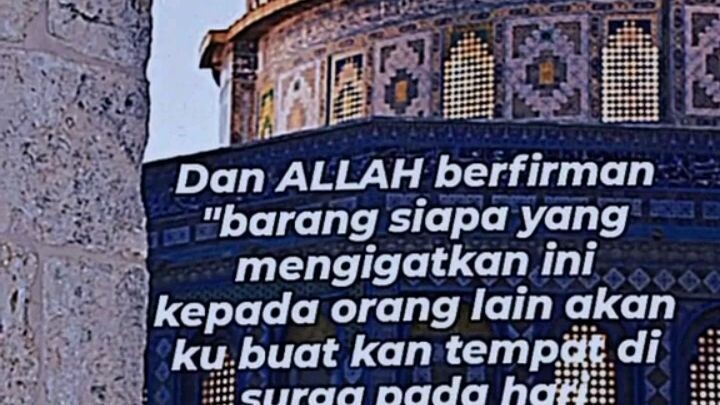 kucing dakwah