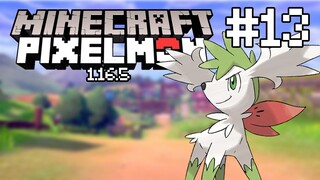 Minecraft Pixelmon Survival 1.16.5 #13 | TGM - Minecraft Pixelmon