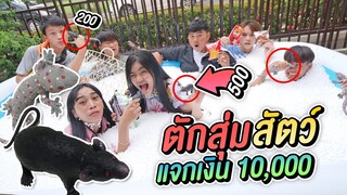 สุ่มตักในบ่อโฟม สัตว์เลื้อยคลาน ในบ้าน !!