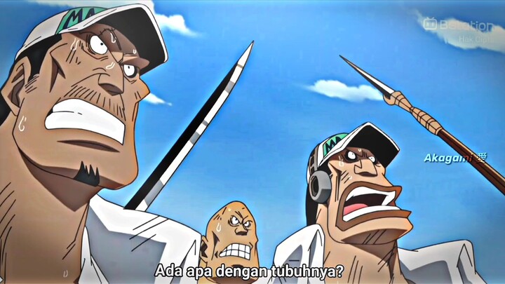 Kizaru sampe bengong ! Begini asli kekuatan dari Marco ! 🥶 #onepiece #animeonepiece #jedagjedug