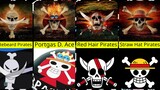 Jolly Roger One Piece in Real Life