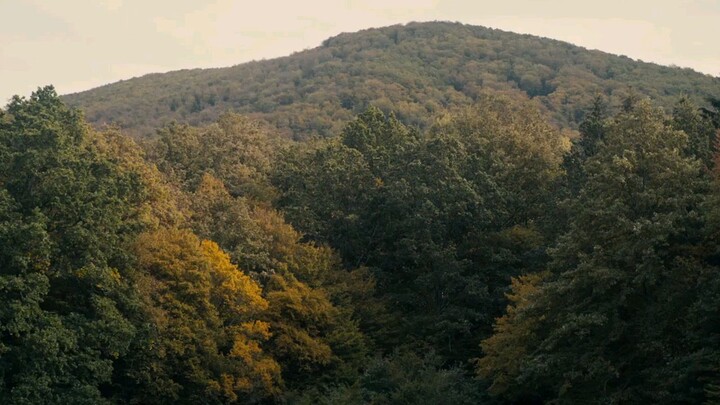 The Duke of Burgundy (2014) #LGBT