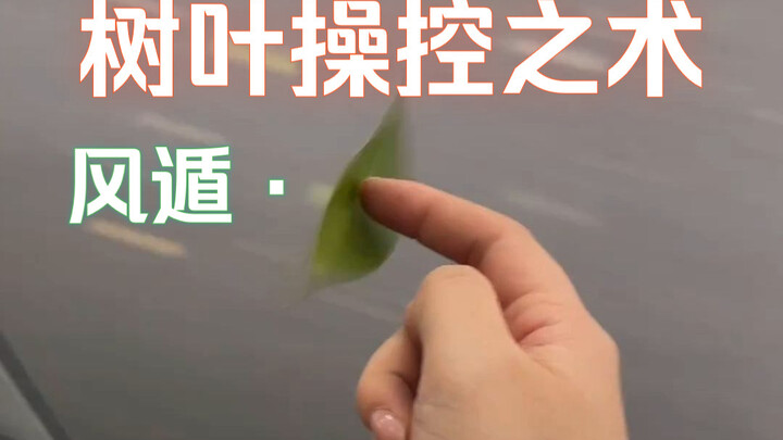 绝对平衡点 · 领悟 | 风遁 · 树叶操控术🍃