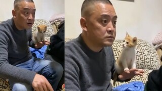 “这就是当初不准你养猫的父母？”