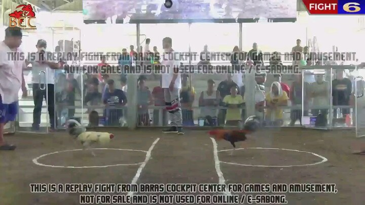 baras fight #6