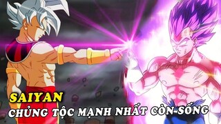 9 chiến binh Saiyan mạnh nhất còn sống ở vũ trụ thứ 7 - Saiyan chủng tộc mạnh nhất