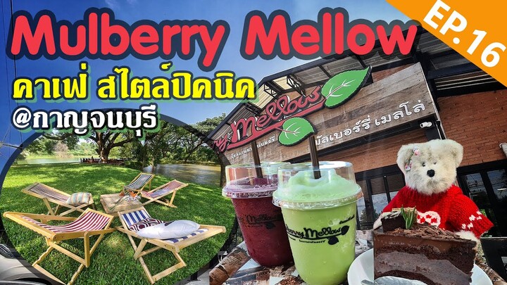 คาเฟ่สไตล์ปิคนิค Mulberry Mellow กาญจนบุรี สำหรับครอบครัว ใกล้ชิดธรรมชาติ ริมน้ำบรรยากาศร่มรื่น