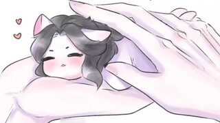 Một chú mèo Vạn Ninh nhỏ
