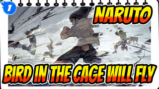 NARUTO  【AMV】Hyuga Neji-The bird in the cage will eventually fly_1