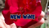 New Wine || Hillsong Worship