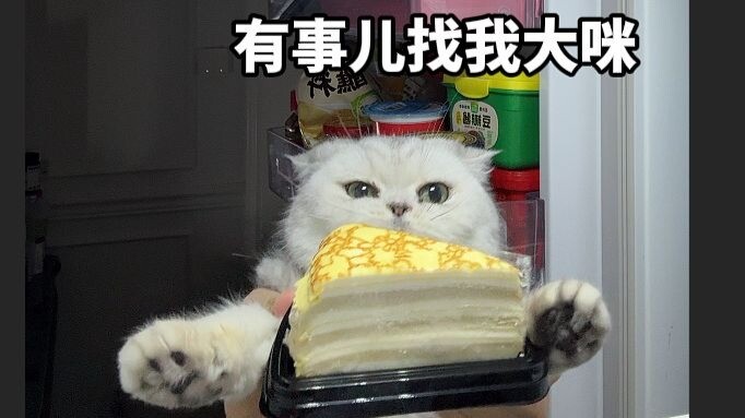 当妈妈监督我减肥