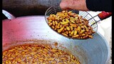 FRIED BUGS Thailand Exotic Street Food