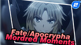 Fate/Apocrypha Cut | Mordred Moments Cut_F2