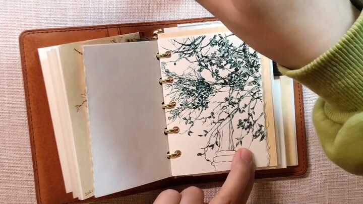 No.13 [hand-painted] pen sketch / silent back / original sound 8 times speed