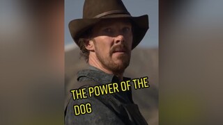 Review Phim Oscar2022 : The Power Of The Dog vietfilm  MeReviewPhim reviewphim bireview tiktoksoiphim OscarAthome Oscars