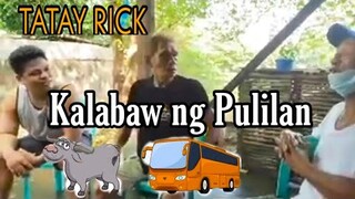 TATAY RICK: KALABAW NG PULILAN