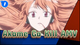 Akame Ga Kill AMV_1