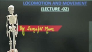 loco motion 2