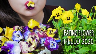 ASMR EATING PANSY FLOWERS PLATTER AND HAPPY NEW YEAR 2020 EDIBLE FLOWERS  EATING SOUND | LINH-ASMR