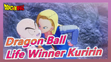 [Dragon Ball] Life Winner Kuririn Fell In Love With Another Guy! So Kind That No.18 Didn't Kill Him!