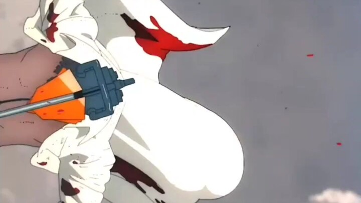 DENJI AMV