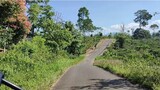 Jalan2 Virtual Ke Pekon/Desa Hujung  Kec. Belalau Lampung Barat