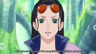 3 Informasi Penting Yang Gak Di Sampaikan Robin Kepada Luffy