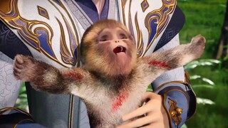 Martial Inverse Episode 11 Sub Indo
