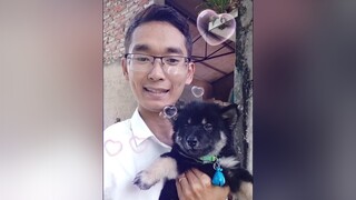 Yêu e Bí ko ạ? yeucho yeuchomeo cún cúncon chó chómèo chócon chó_cưng chókhôn yeuchomeo cưng chócute pet dog dogsoftiktok doggo