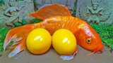 Ikan Koi Cupang Warna-warni, Stop Motion ASMR Mainan Kejutan Telur Kartun Lucu - Funny Cartoon