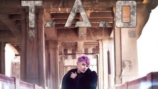 Z.Tao 黄子韬 One Heart Lyrics [Pinyin-Chinese-English]