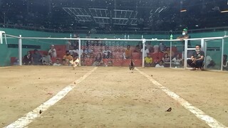JCC Gameyard 💪🔥🐓 2x Winner Bangkas my winning line