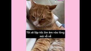 [Vietsub] Lý do Quàng Thượng không dính người | Ổ nhỏ của Hoài