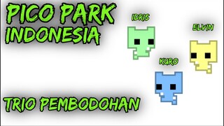 PICO PARK INDONESIA - TRIO PEMBODOHAN