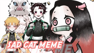 [Kimetsu no Yaiba /MEME]Tarian Kucing Sedih, tapi Nezuko sangat gembira