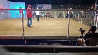 4th fight win 'sweeter'7cock derby in passi city iloilo