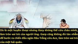 Garp - Một người ông đau khổ p1