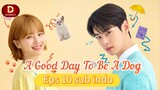 A.G.D.T.B.A.D episode 10 sub Indo