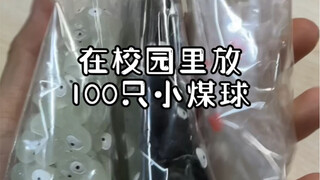 走之前在学校里放了100只小煤球